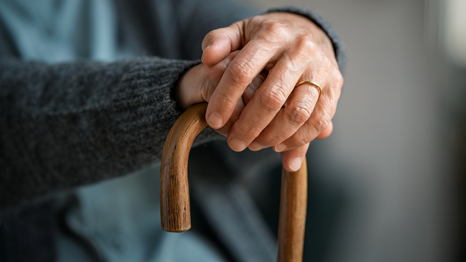 "Türkiye artık yaşlı bir ülke"