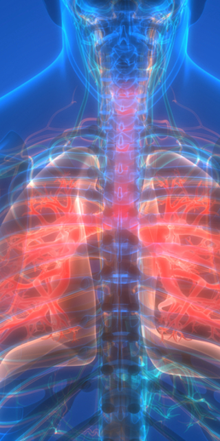  Akciğer ve karaciğere iyi gelen besinler