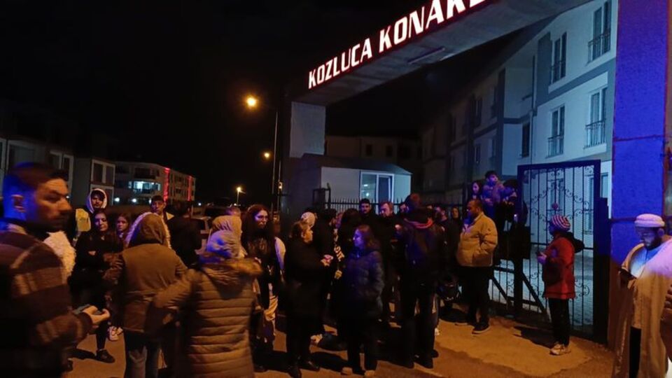 6 kedi yavrusunu vahşice öldürdüler!