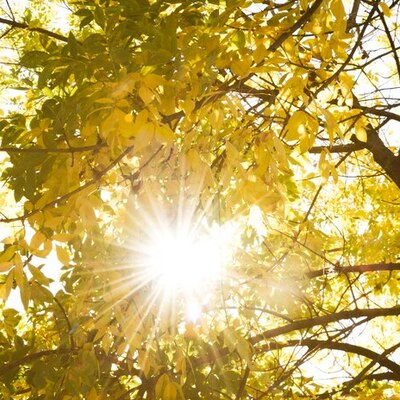  Bugün hava nasıl olacak?