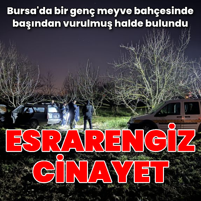 Meyve bahçesinde başından vurulmuş halde ölü bulundu