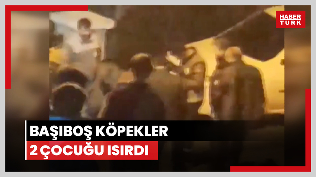  Pitbull iki çocuğu yaraladı