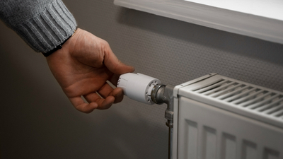 Petek bakımı ve temizliği nasıl yapılır?