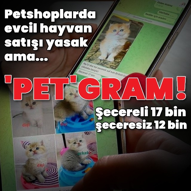 Pet shopta yasaklanan hayvan satışı sosyal medyada arttı