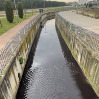 Rengi siyaha döndü