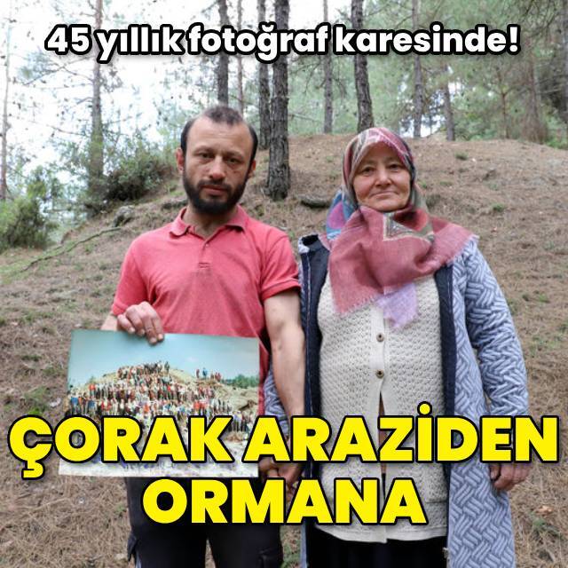 Çorak araziden ormana 45 yıllık fotoğraf karesinde