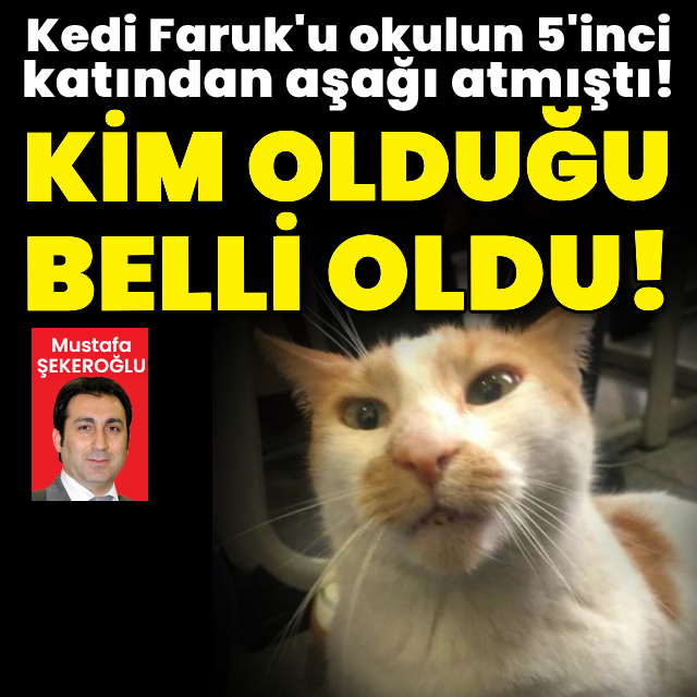 Kediyi okulun 5'inci katından atan üniversite öğrencisi çıktı!
