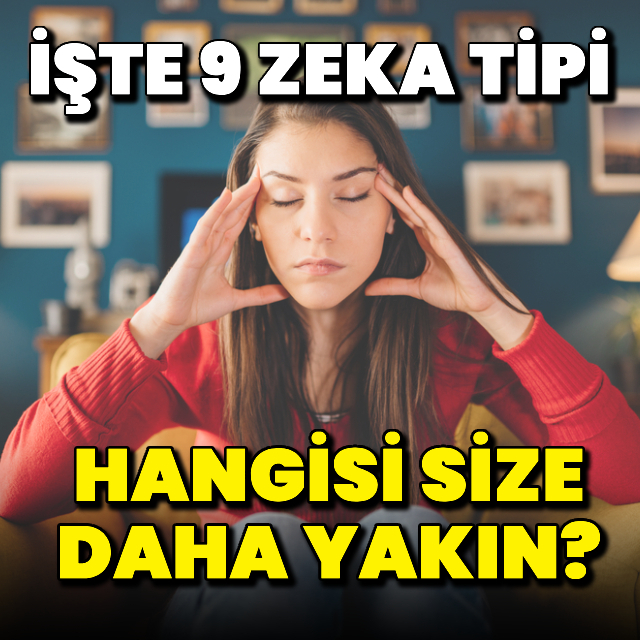 Bu 9 zeka tipinden hangisi size daha yakın?