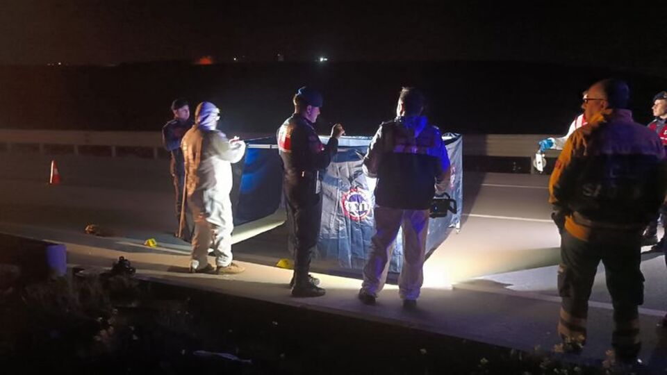 Yolun ortasında cansız halde bulundu!