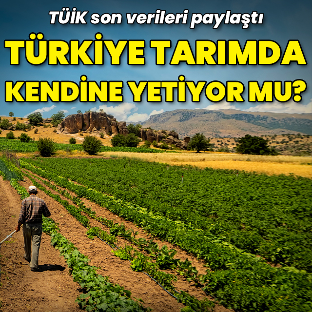 Türkiye tarımda kendine yetiyor mu?