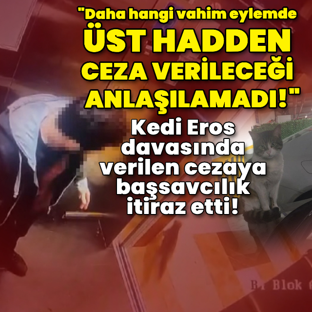 Kedi Eros davasında başsavcılıktan itiraz!