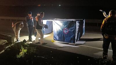 Yol kenarındaki vahşette flaş gelişme!