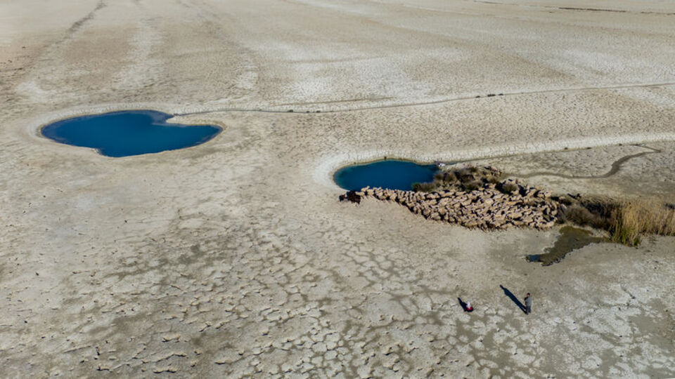 Bu yaz nerede kuraklık riski var?