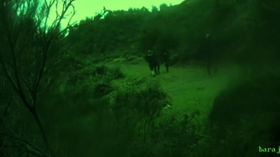 20 organizatör ve 559 göçmen yakalandı