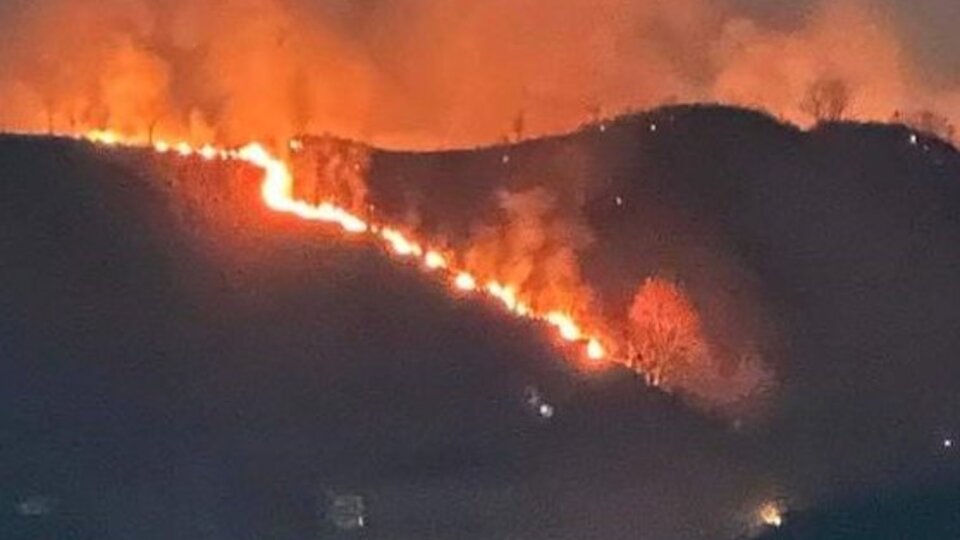 Trabzon'da örtü yangını