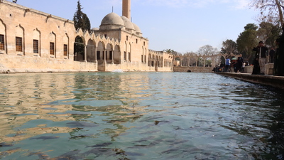 Şanlıurfa'da kıyasıya yarış!