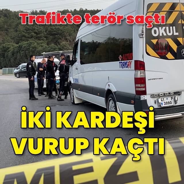 İki kardeşi vurup kaçtı