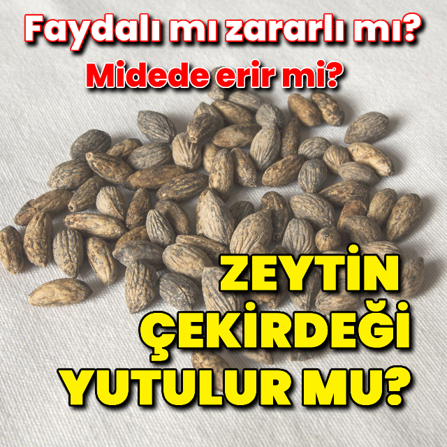 Zeytin çekirdeği yutulur mu? Faydalı mı zararlı mı?