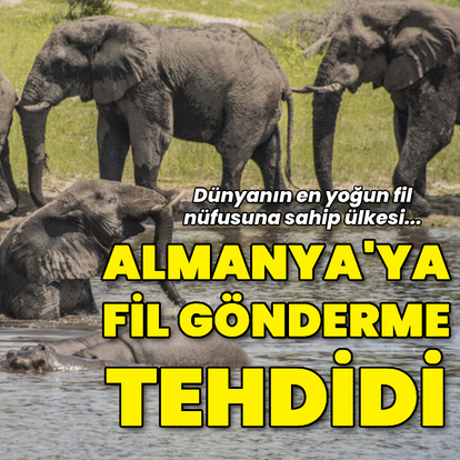 Almanya'ya binlerce fil gönderme tehdidi