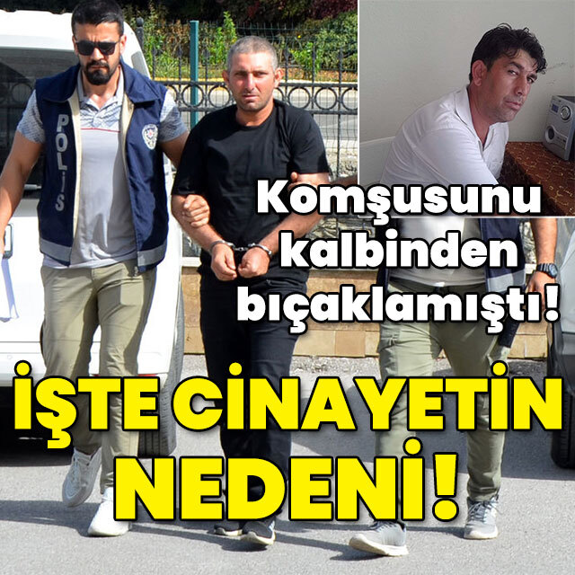 Komşusunu kalbinden bıçaklamıştı! İşte cinayetin nedeni!