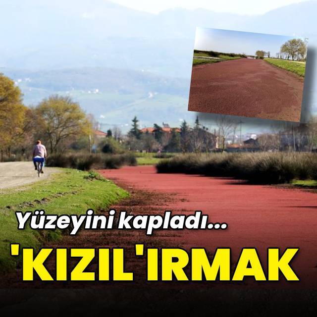 Yüzeyi otla kaplandı... 'Kızıl'ırmak!