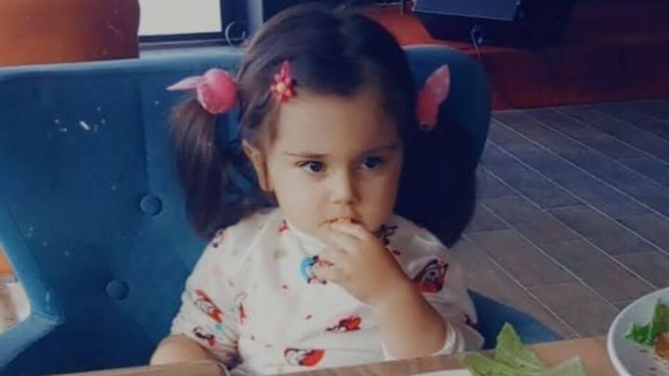 Cansız bedeni derin dondurucuda çıkan Lina'nın ölümünde karar!