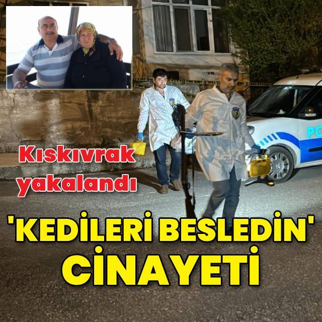 Kedileri besleyen komşularını vurdu