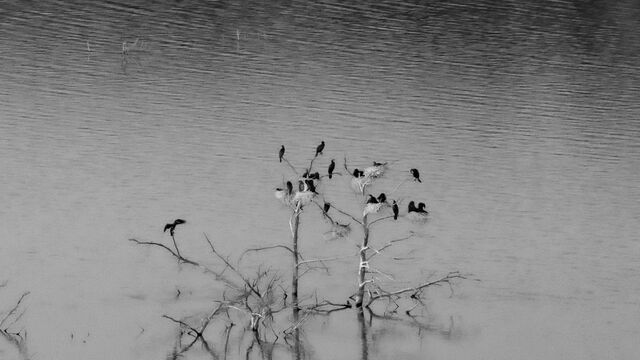 Nikolaos Manginas fotoğraf yarışmasına başvurular başladı