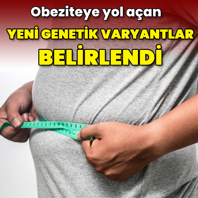 Obeziteye yol açan yeni genetik varyantlar belirlendi