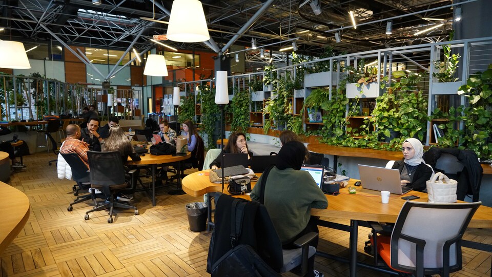 BTM'de yeni hedef yerli unicorn çıkarmak