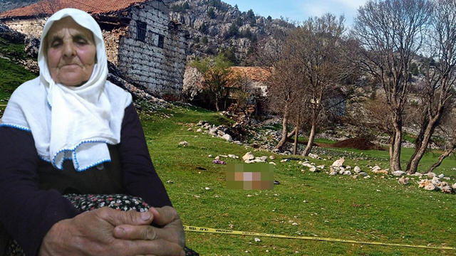 Çoban köpeklerinin saldırısında can verdi