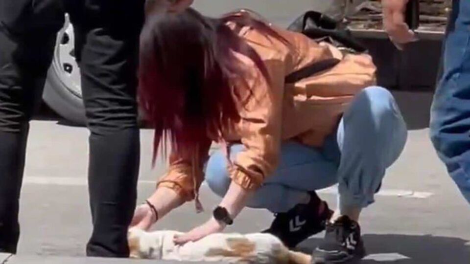 Kediyi kalp masajıyla hayata döndürdü