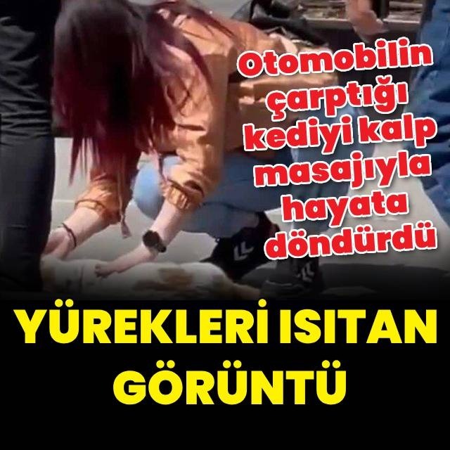 Kediyi kalp masajıyla hayata döndürdü