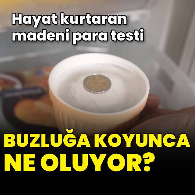 Buzluğun içine koyun! Hayat kurtaran madeni para testi