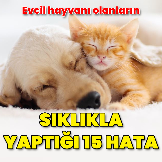 Evcil hayvanı olanların sıklıkla yaptığı 15 hata