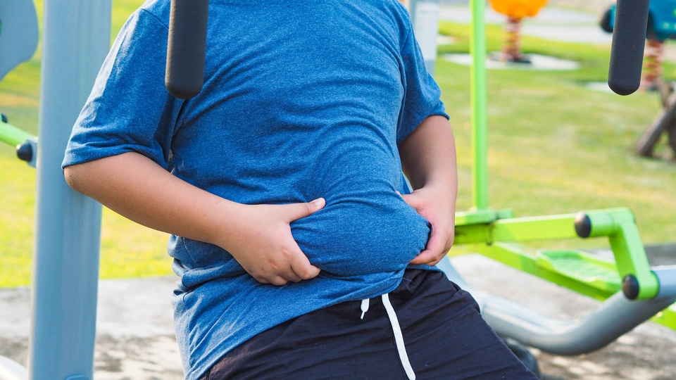 Obezite Türkiye'de alarm veriyor!