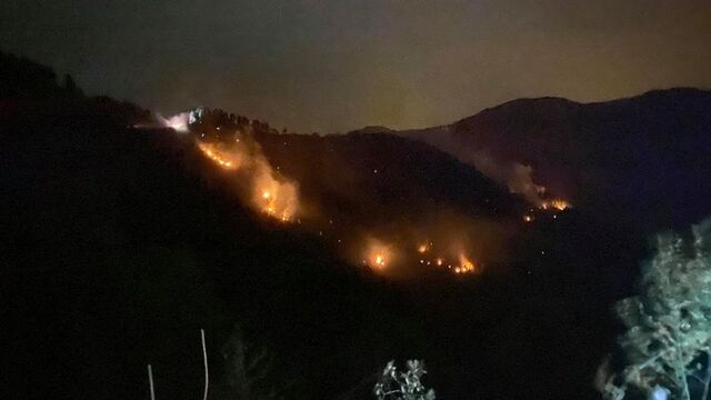 "Orman yangınları Karadeniz'de de görülecek!"