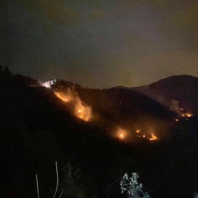 "Orman yangınları Karadeniz'de de görülecek!"