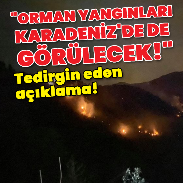 "Orman yangınları Karadeniz'de de görülecek!"