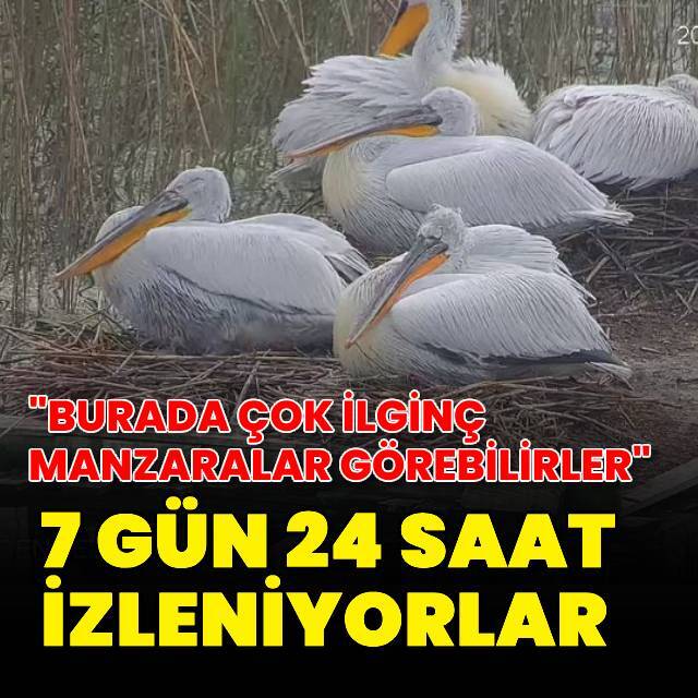 "Burada çok ilginç manzaralar görebilirler"