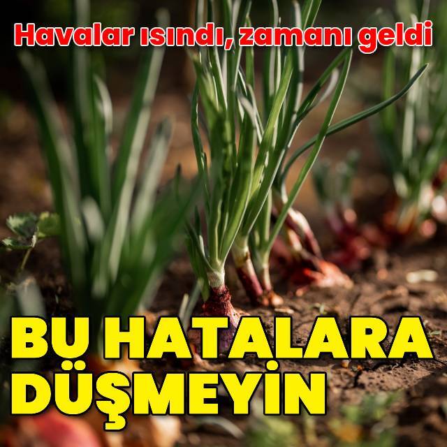 Havalar ısındı, zamanı geldi! Bu hatalara düşmeyin...
