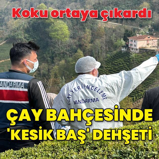 Çay bahçesinde 'kesik baş' dehşeti