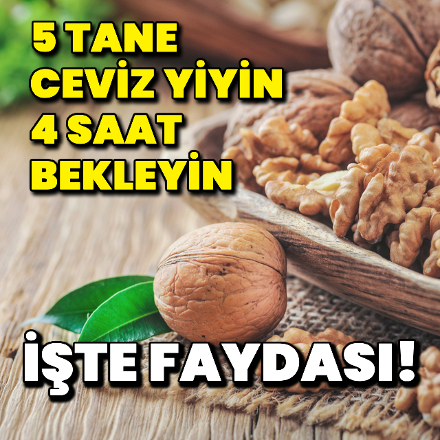 5 tane ceviz yiyin! 4 saat bekleyin!