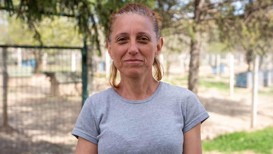 180 köpek! 1 milyon 731 bin lira ceza