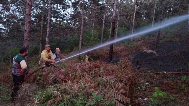 Aydos Ormanı yangını söndürüldü
