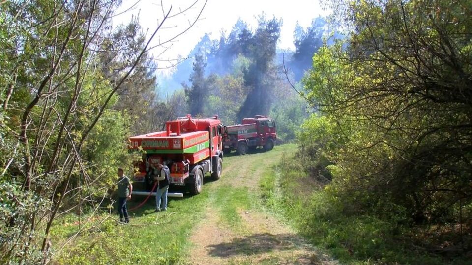 Bursa'daki yangın kontrol altında