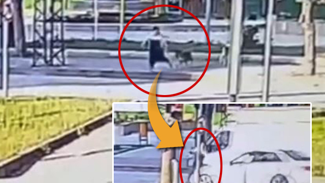 Sahipsiz köpeklerden kaçarken otomobil çarptı