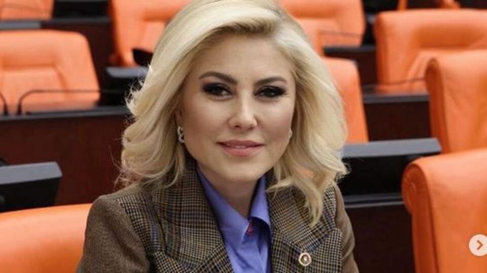 AK Parti'li Şebnem Bursalı'dan 'ıstakoz' açıklaması