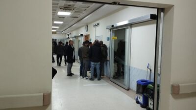 Evine inek girdi! Dövülerek öldürüldü!