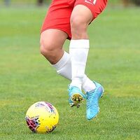 BAL'da maddi sıkıntı büyük! Kulüplerin gözü gelir için TFF'de